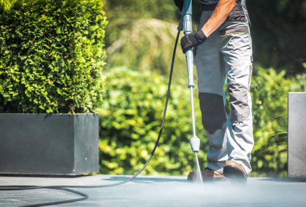 Best Building Exterior Washing  in Williamston, MI