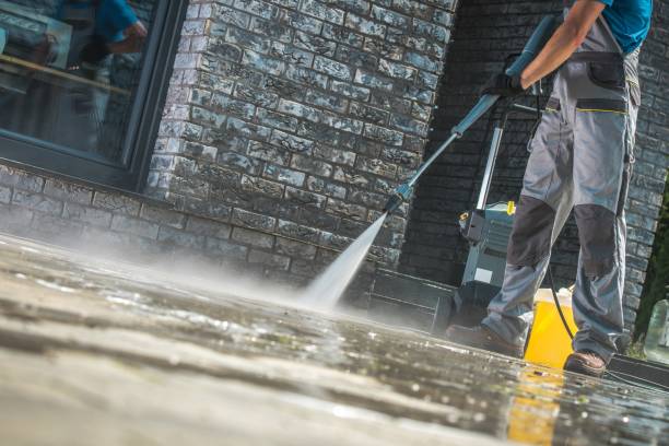 Best Paint Preparation  in Williamston, MI