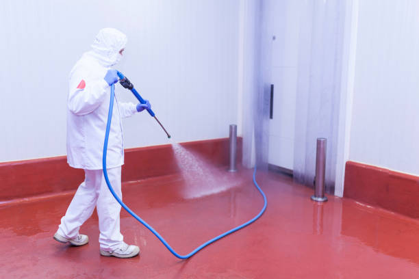 Best Boat and Dock Cleaning  in Williamston, MI