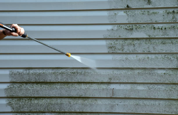 Best Fence Cleaning  in Williamston, MI
