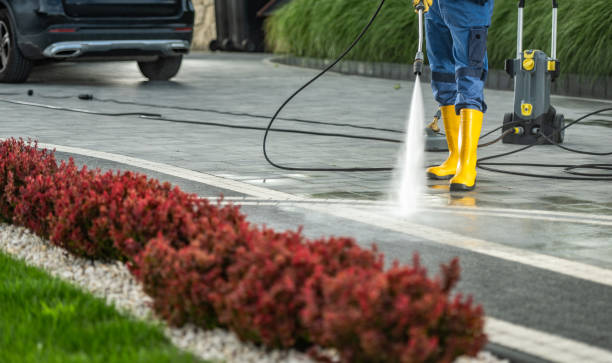 Best House Exterior Washing  in Williamston, MI